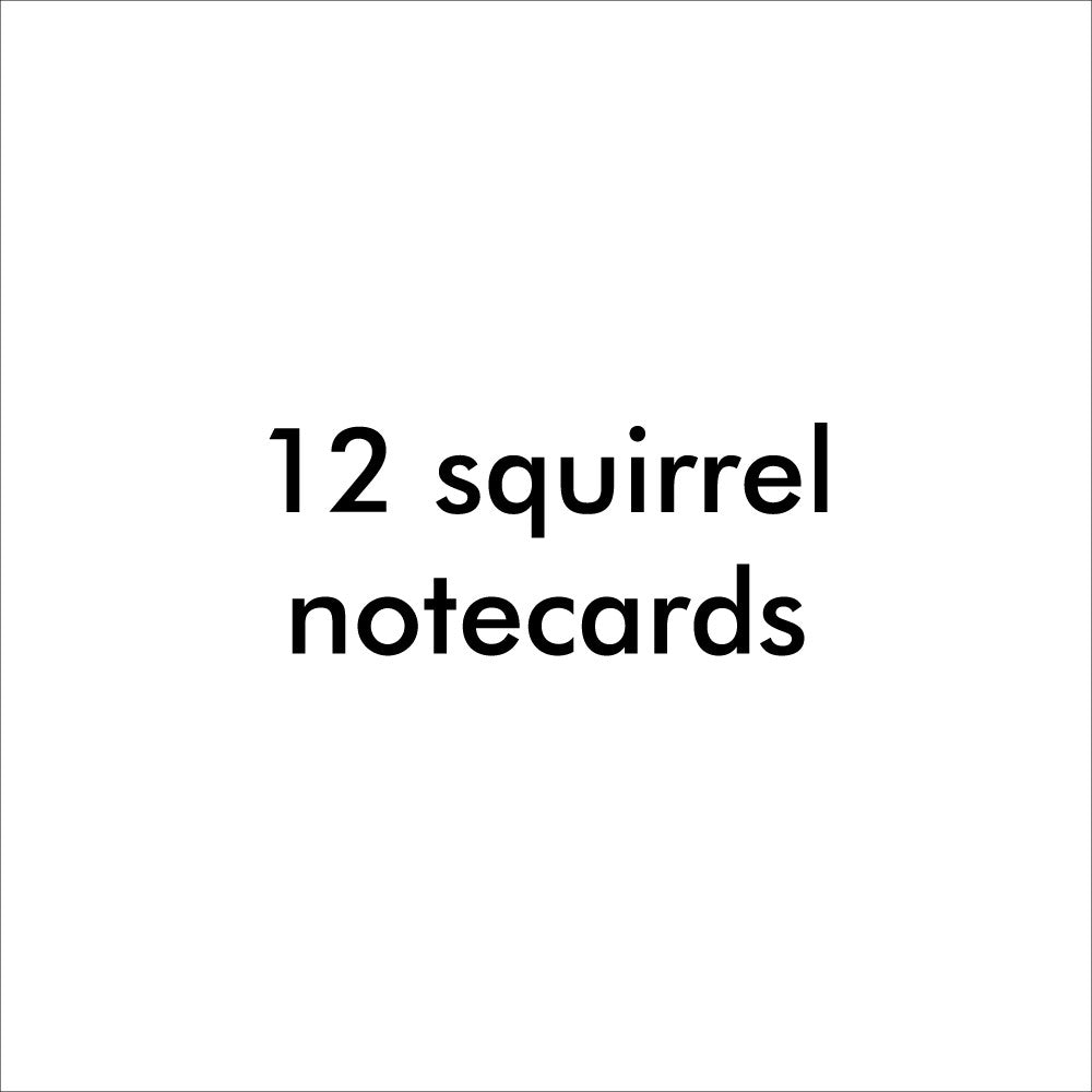 Bugged Out squirrel note cards